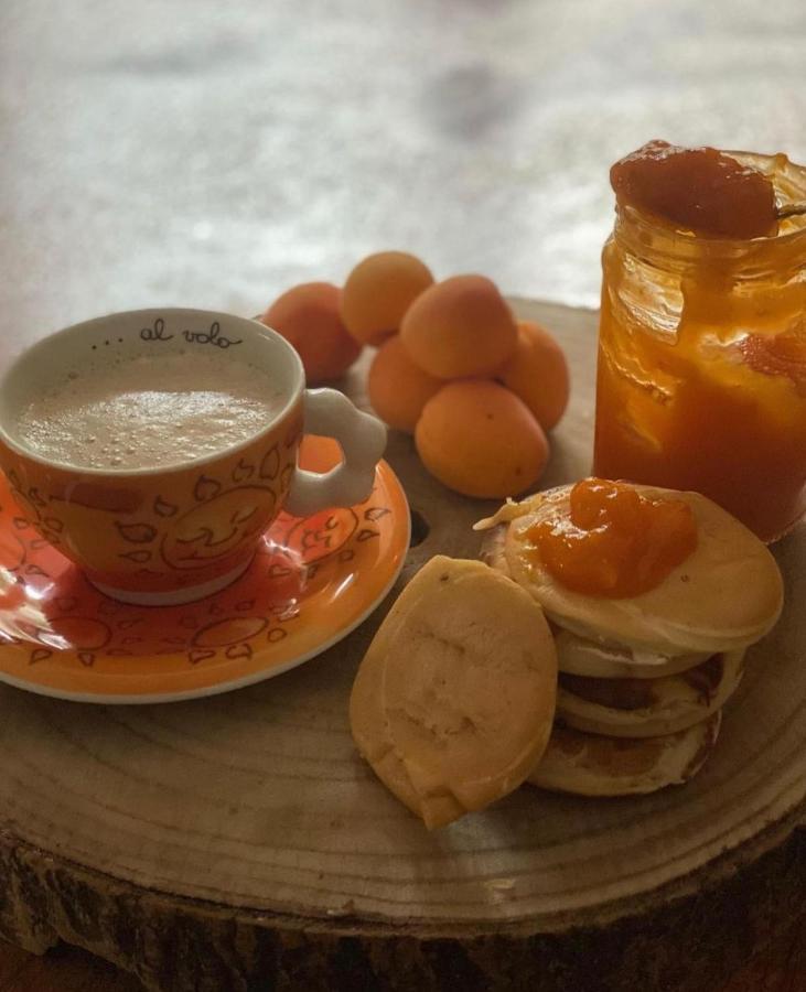 Il Casale Di Punta Prosciutto Bed & Breakfast エクステリア 写真